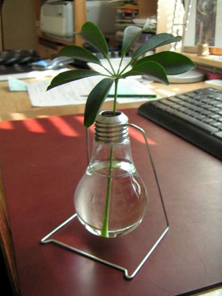 Illustration for article titled DIY Light Bulb Planters and Mini Terrariums Bring Too Many Puns